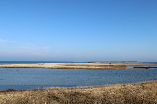 Vogelschutzgebiet auf der Insel Langenwerder in der Ostsee n&ouml;rdlich von Poel (bird protection zone on the island Langenwerder in the Baltic Sea) 