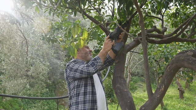 Seasonal pruning of trees. Mature bearded gardener pruning fruit trees with reciprocating saw. Taking care of garden. Cutting tree branch. Spring gardening.