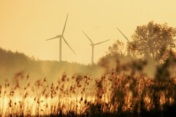 Morgenstimmung auf dem Land