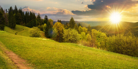 beautiful nature scenery in spring at sunset. countryside landscape in the carpathian mountains with fresh green meadows and coniferous forest in evening light. clouds on sky above the distant ridge