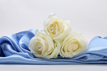 Beige rose flower on blue silk copy space background.