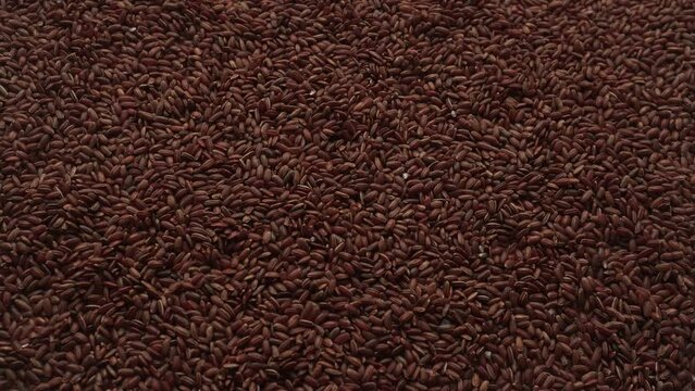 The Brown Rise Background Stop Motion