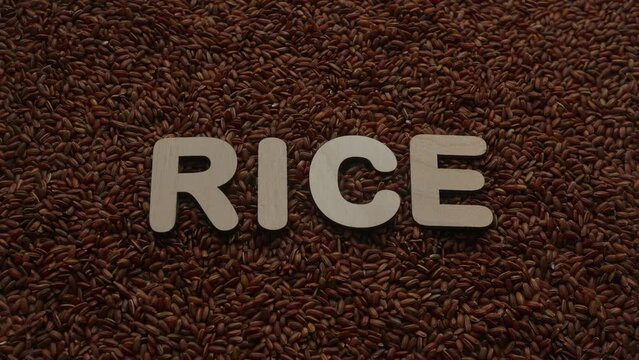 The Word Brown Rise Stop Motion