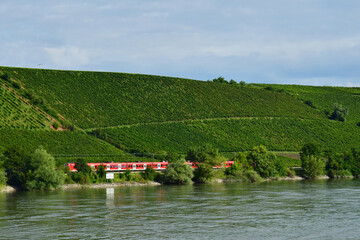 Rhine valley; Germany- august 11 2021 : cruise between Strasbourg and Mainz