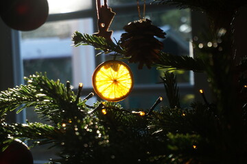 Orangenscheibe