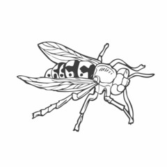 insects, wasps in the style of doodles. Vector. Line art bee hand-drawn
