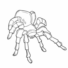 Close up macro shot of a spider in linear style vector illustration. Continuous one line drawing of spider silhouette isolated on white background. Spider for background, logo or tattoo.