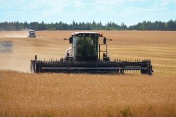 Fototapeta premium The harvest. View directly on a self-propelled mower mowing wheat ears. In the background there is a grain harvester and a truck.