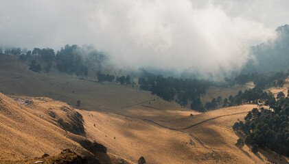 autumn landscape above the iztaccihuatl volcano in the izta-popo national park, hills with trees with a cloudy sky