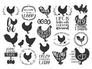 Chicken SVG bundle hand-drawn, chicken SVG, rooster SVG, chicken SVG funny, crazy chicken lady SVG, chicken whisperer SVG - obrazy, fototapety, plakaty