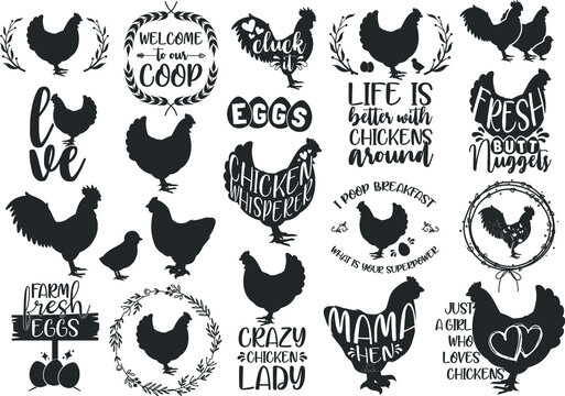 Chicken bundle hand-drawn, chicken, rooster, chicken funny, crazy chicken lady, chicken whisperer, Chicken vector