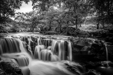 waterfall in the forest