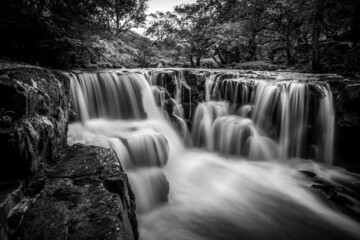 waterfall in the forest