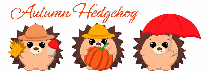 Mini set with cute cartoon autumn hedgehog. Draw illustration in color