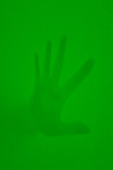 Fototapeta na wymiar On a green background, the shadow of a man's hand.