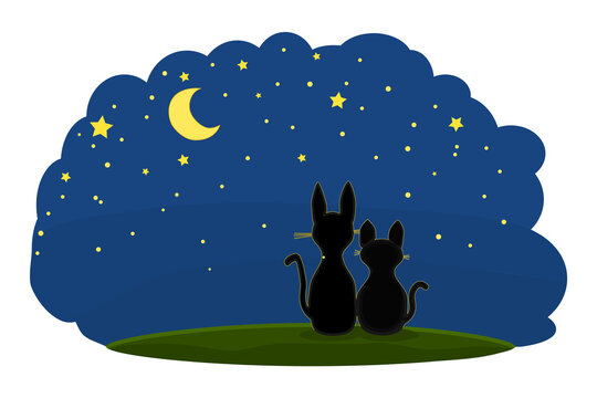 Couple of lovely cats on night starry sky background. Romantic love cats silhouettes under evening sky with many stars and moon. Two sweet cats in love watching the moon. Stock vector illustration