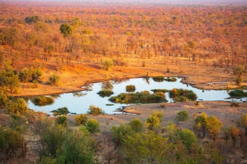 Victoria Falls Safari Lodge watering hole in the African savannah at sunset, Zimbabwe Africa