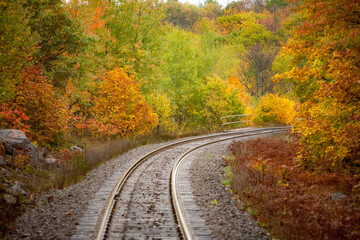 The Canadian national railway rails winding through autumn color forests in Alberta