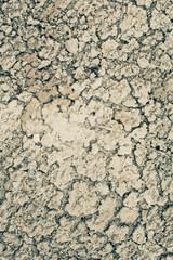 View of the cracked earth