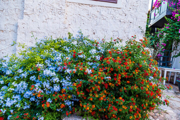 Traditional houses in the streets of Kalkan, Turkish Mediterranean style