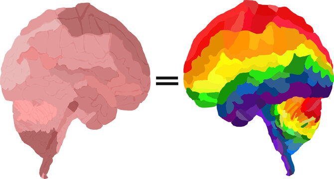 LGBT and basic brain vectors together isolated on white background, human rights and equality concept idea for poster, card or banner.	