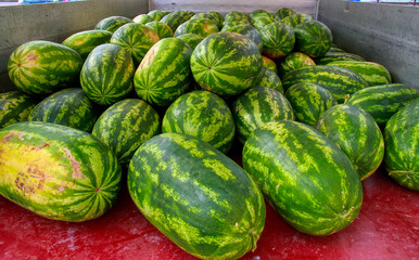 Freshly harvested watermelons transported on a truck. Fresh summer fruit