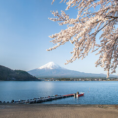 Cherry blossom with Mount Fuji at Lake Kawaguchi, Fujikawaguchiko, Japan