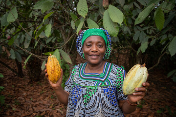 An African female farmer holds in her hands cocoa beans from her plantation.