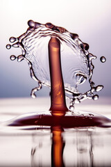 Water drop photography 10
