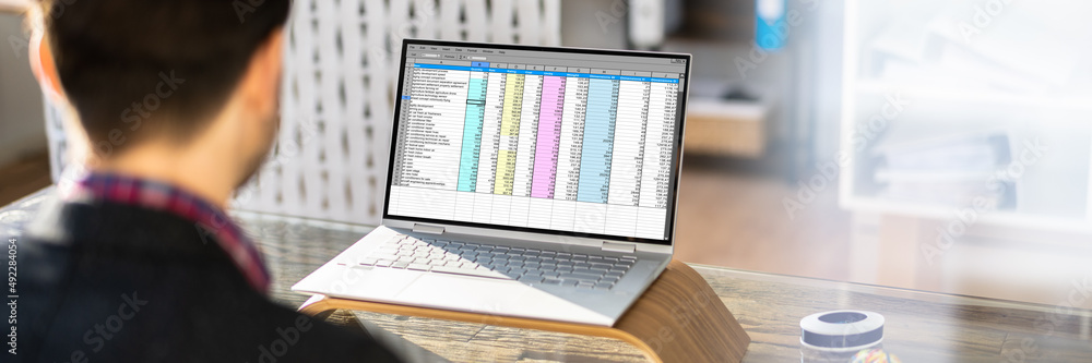 Poster financial analyst using spreadsheet software