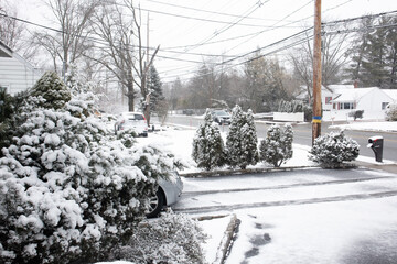 SNOW & plane in cloud