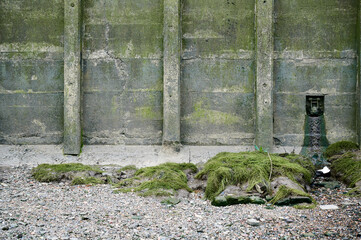 small sewage outlet on wall of bank of river thames in london with seaweed and pebbles