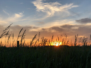 Fototapeta na wymiar Prairie Sunset