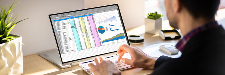 Man Working With Electronic Spreadsheet Reports