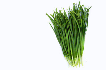 Fresh Chinese Chive leaves on white background.