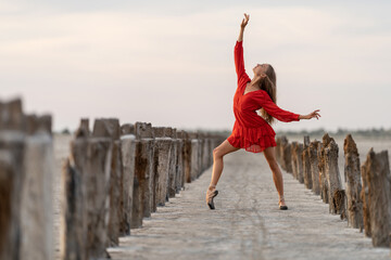 Female ballet dancer is posing on salt seashore