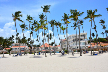 Punta Cana, Dominican Republic - White sand beach and palm trees, Caribbean coast, thatched sun...