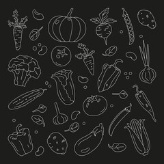 Vector set of vegetables. Doodle style. Simple contours