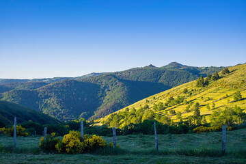 France, Ardèche (07), le plateau Ardéchois.