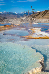 Mammoth Hot Springs in Yellowstone National Park