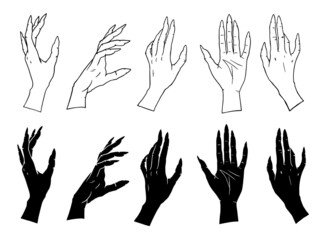 Hand drawn set of female witches hands in different poses. Vector illustrations in black outline style