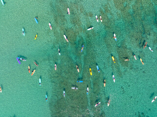 Fototapeta na wymiar Surfboards floating in Waikiki beach water