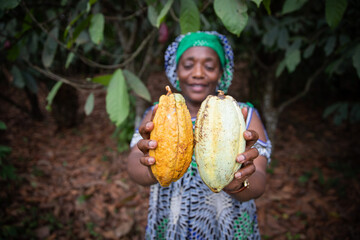 Close up of two cocoa pods held in the hand by a farmer, focus on the cocoa pods and background out...