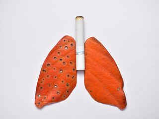 smoking kills concept, stop smoking. World no tobacco day concept. lungs of a healthy person and sick. flat lay, design for banner, advertisers and articles. Leaf craft, Creative image.  - obrazy, fototapety, plakaty