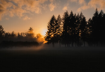 Fototapeta na wymiar Foggy Sunset