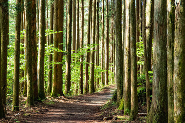Nakasen-do, Nagano, Japan