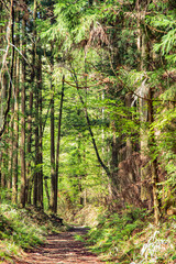 Nakasen-do, Nagano, Japan