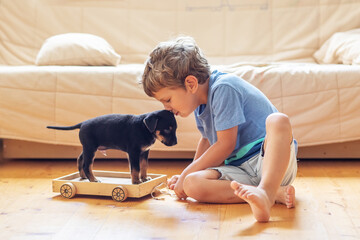 A boy with a little dog playing at home. - 492298211