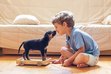 A boy with a little dog playing at home.