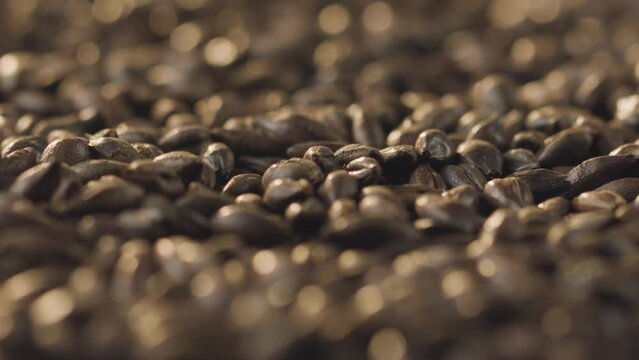 Close-up: Dark malted barley spinning slowly